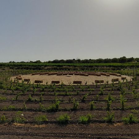 Cozzo Del Parroco - Ospitalita Tra I Vigneti Villa Granelli Exterior foto