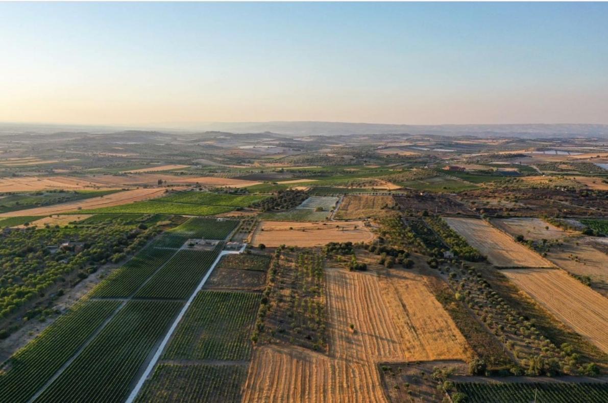 Cozzo Del Parroco - Ospitalita Tra I Vigneti Villa Granelli Exterior foto