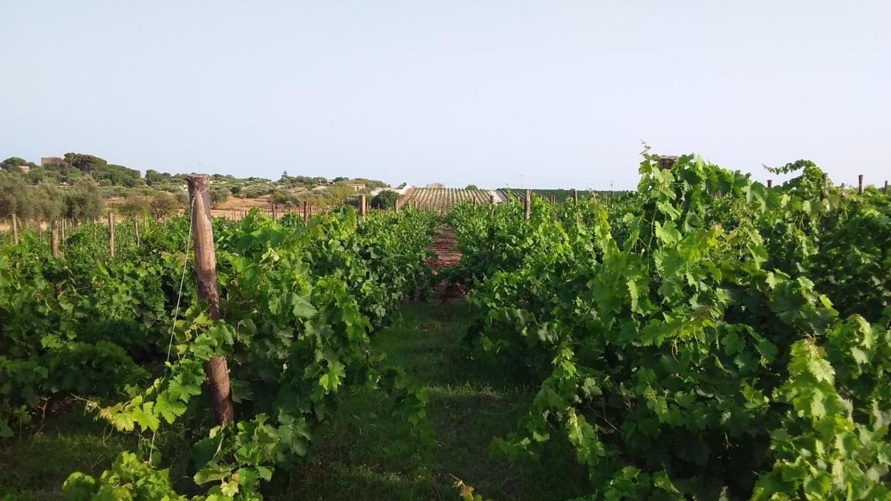 Cozzo Del Parroco - Ospitalita Tra I Vigneti Villa Granelli Exterior foto