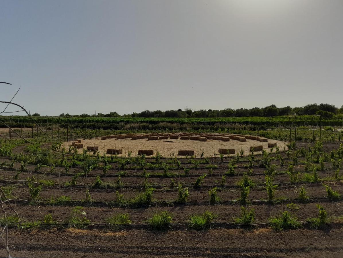 Cozzo Del Parroco - Ospitalita Tra I Vigneti Villa Granelli Exterior foto